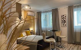Urseni Studio Apartment